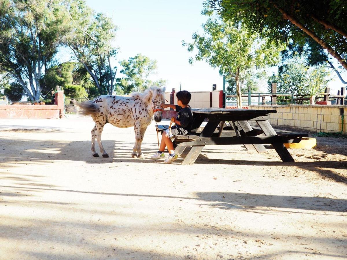 Posada Rural La Corbera Утрера Экстерьер фото